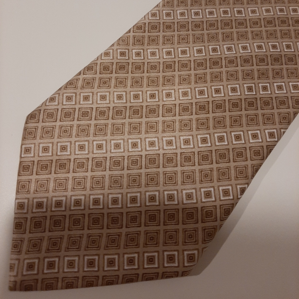 Brioni Neck Tie